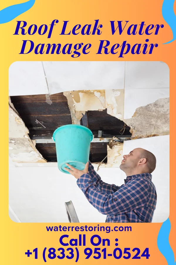 Roof Leak Water Damage Repair in Blockton, IA